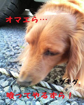 ♪お散歩♪
