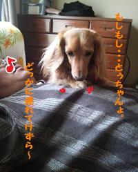 ♪三ケ日♪ 2010/04/27 19:59:30