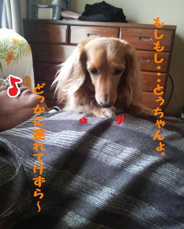♪三ケ日♪