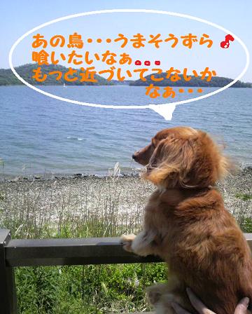 ♪三ケ日♪