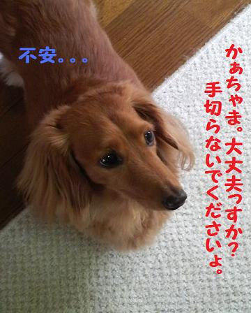 ♪好きなもの♪
