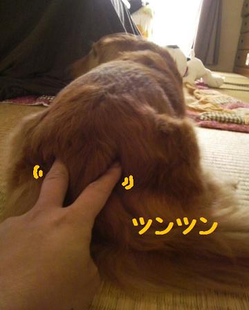♪好きなもの♪