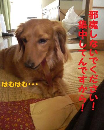 ♪好きなもの♪