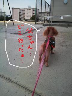 みなしごはっち。