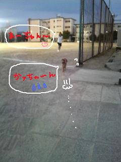 みなしごはっち。
