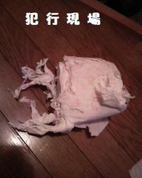 ＴＰ惨殺事件・・・ 2010/08/04 20:23:38