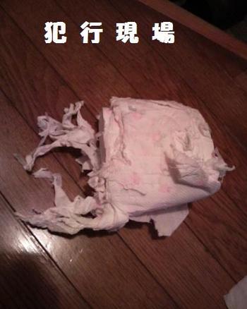 ＴＰ惨殺事件・・・