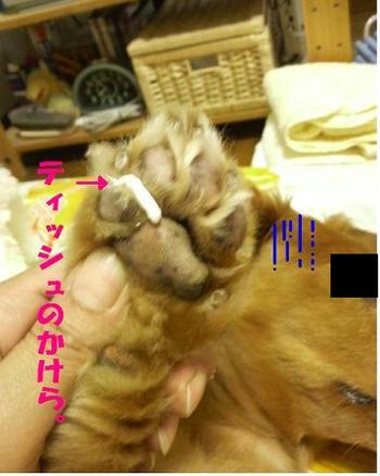 ＴＰ惨殺事件・・・