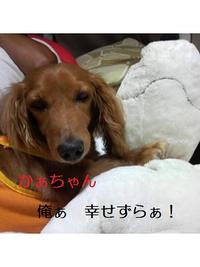 風邪っぴき。 2009/11/16 13:36:42