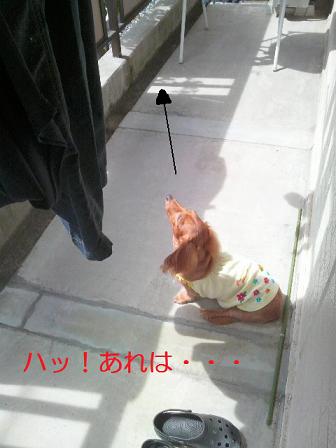 兄弟は宝です。