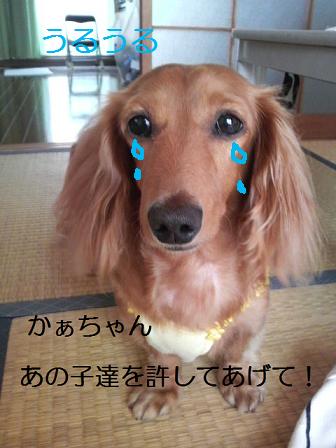 兄弟は宝です。