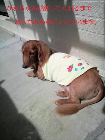 兄弟は宝です。