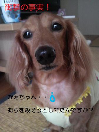 てんかんとぃぅ病気