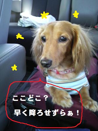 GPS