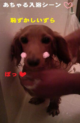 美容院ごっこ