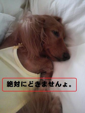毎朝の出来事。