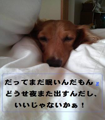 毎朝の出来事。