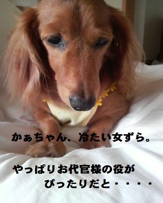 毎朝の出来事。