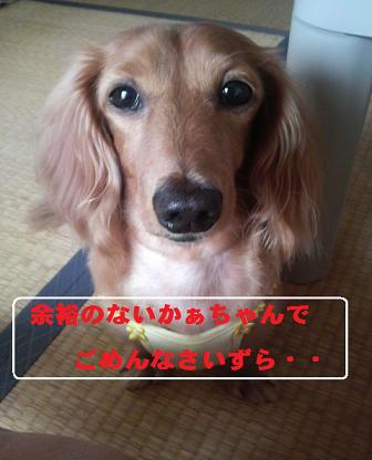本日は忙しいさぁ。