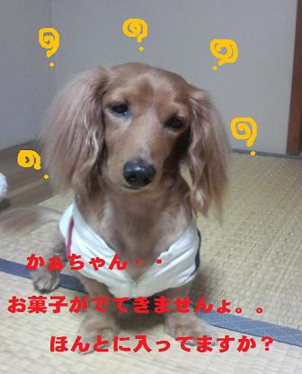 黄色ちゃん。。。