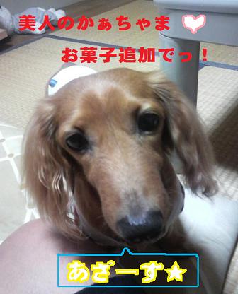 黄色ちゃん。。。
