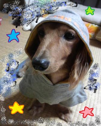 あちゃザイル☆