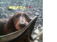 あなたに会いたくて・・・♪ 2010/09/25 18:51:55