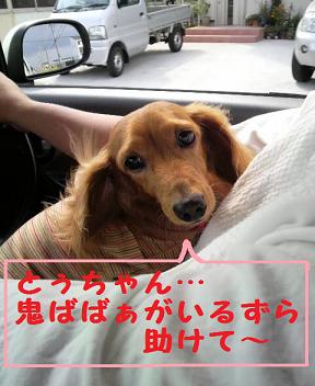 マックであちゃる。