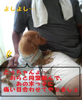 被害者の会…発足！