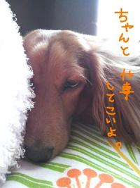 本日お仕事。 2009/08/27 12:58:44