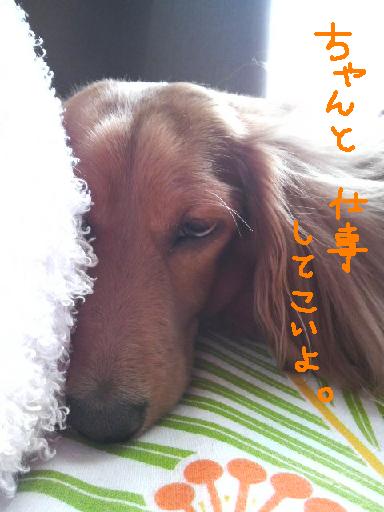 本日お仕事。