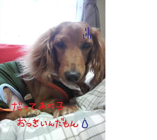 風呂♪　風呂♪