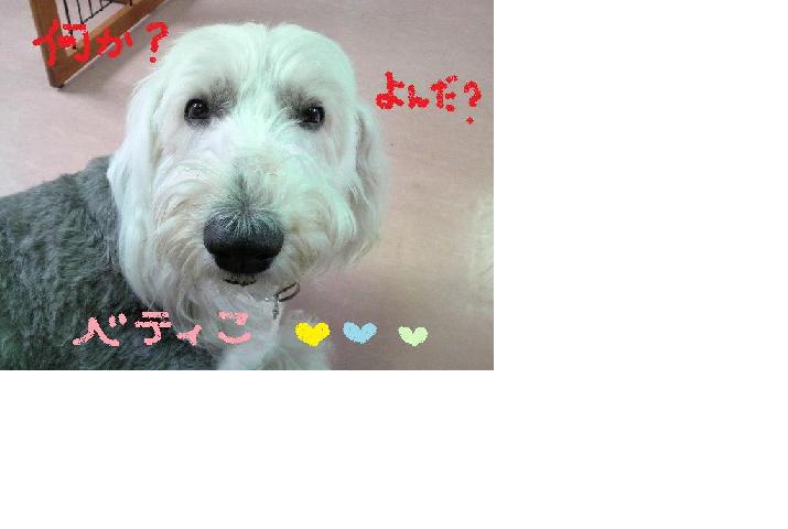 風呂♪　風呂♪