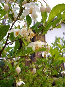 連休明け