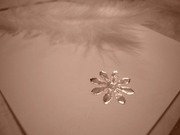 クリスマス^^
