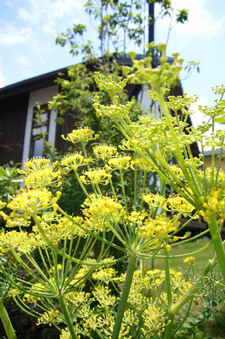6月