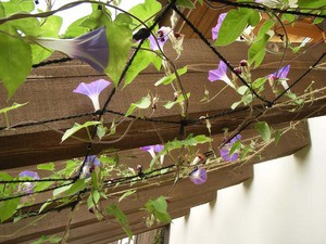 休み明け