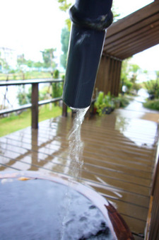 雨水を^^