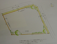 民子さんのおしごと