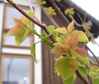 庭にて