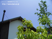 夏季休暇のお知らせ