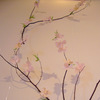 キャンパスに・・・＜4月桜編＞