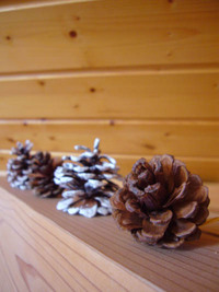 08’クリスマス＾＾　-3 2008/12/23 18:08:32