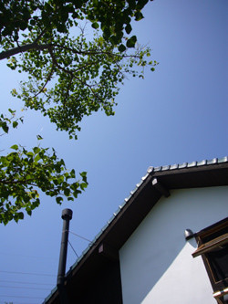 梅雨も明け・・・＾＾