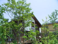 photo-001