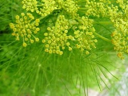 庭にて・・・