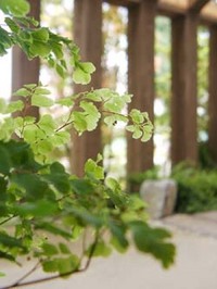 トンネル
