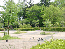 かぶと塚公園にて・・・