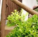 ものおもいにふける・・・？？？