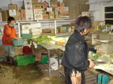 出荷準備（野菜部）